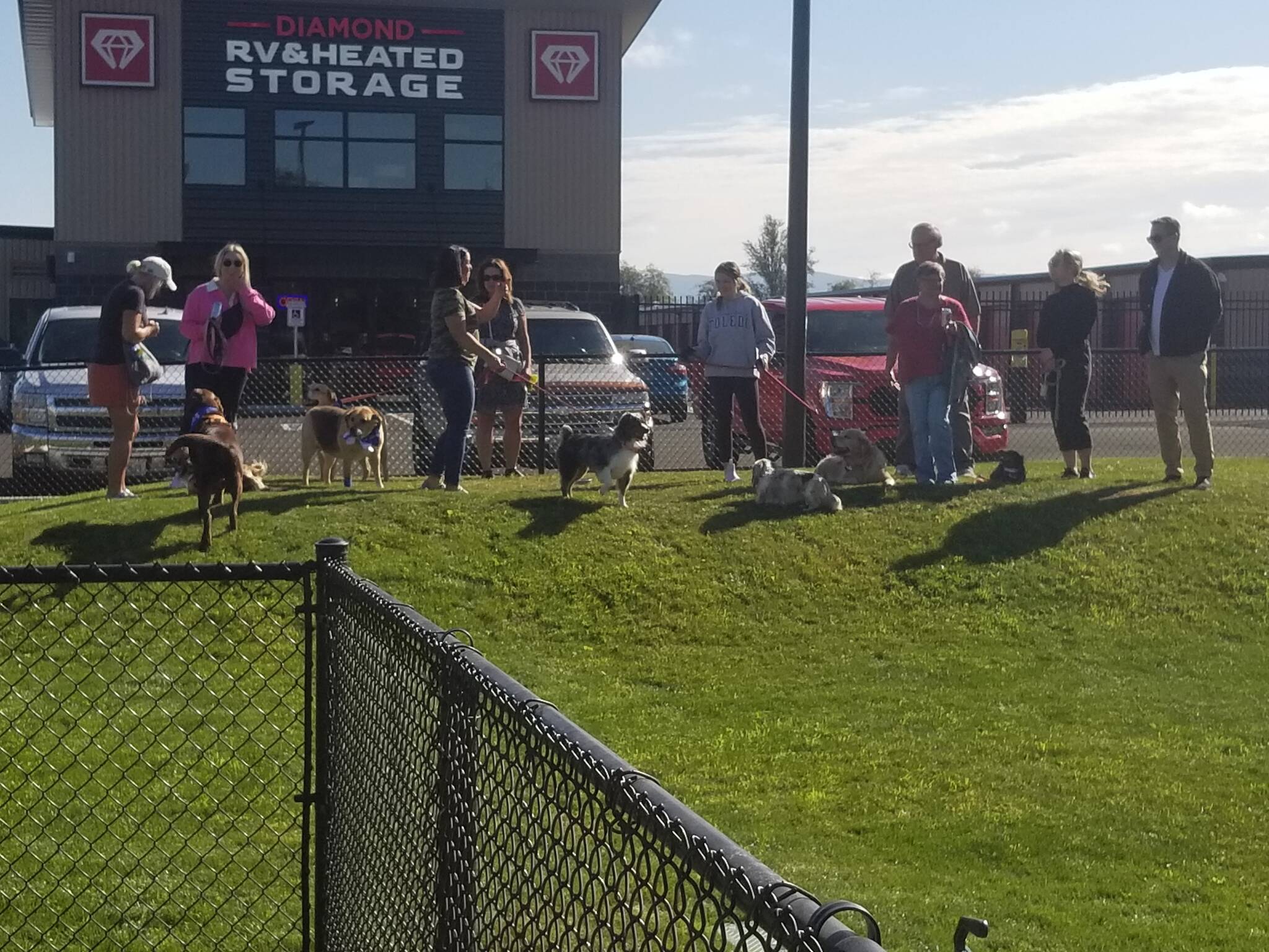Dozens of dogs and their owners could be seen enjoying the fully fenced field during the grand opening of the Martin Family Dog Park on Saturday, Sept. 24, in Elma. Dogs do not have wear a leash while on the field and is free for everyone to enjoy.