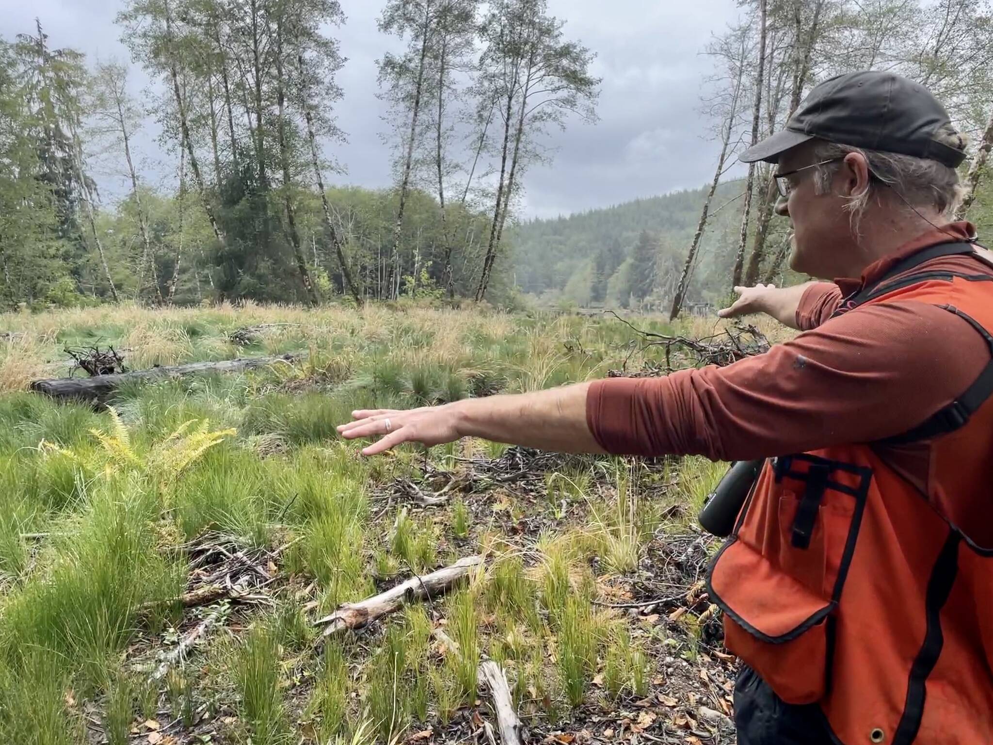 Michael S. Lockett / The Daily World 
Tom Kollasch, watershed restoration program manager for the Grays Harbor Conservation District, points to the new growth that’s occurred since the work done to clear the blockage and open up the waterway to the Hoquiam River.