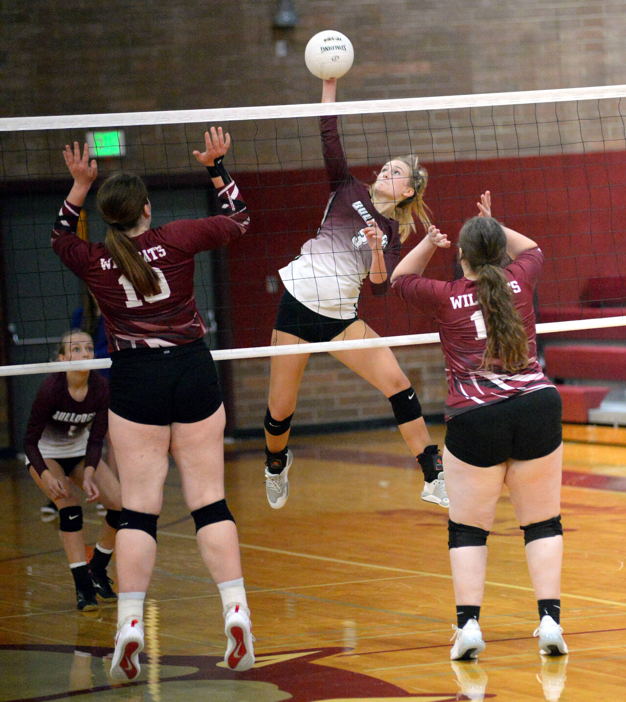 RYAN SPARKS | THE DAILY WORLD Montesano outside hitter Ashlyn Devereaux (3) records one of her 10 kills during the Bulldogs’ 3-0 win over Ocosta in a non-league match on Wednesday in Montesano.