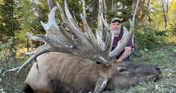 Hoquiam hunter Brian Dhoogie poses in front of the massive bull elk he shot a few weeks ago at a ranch in Idaho.
Photos courtesy Brian Dhoogie