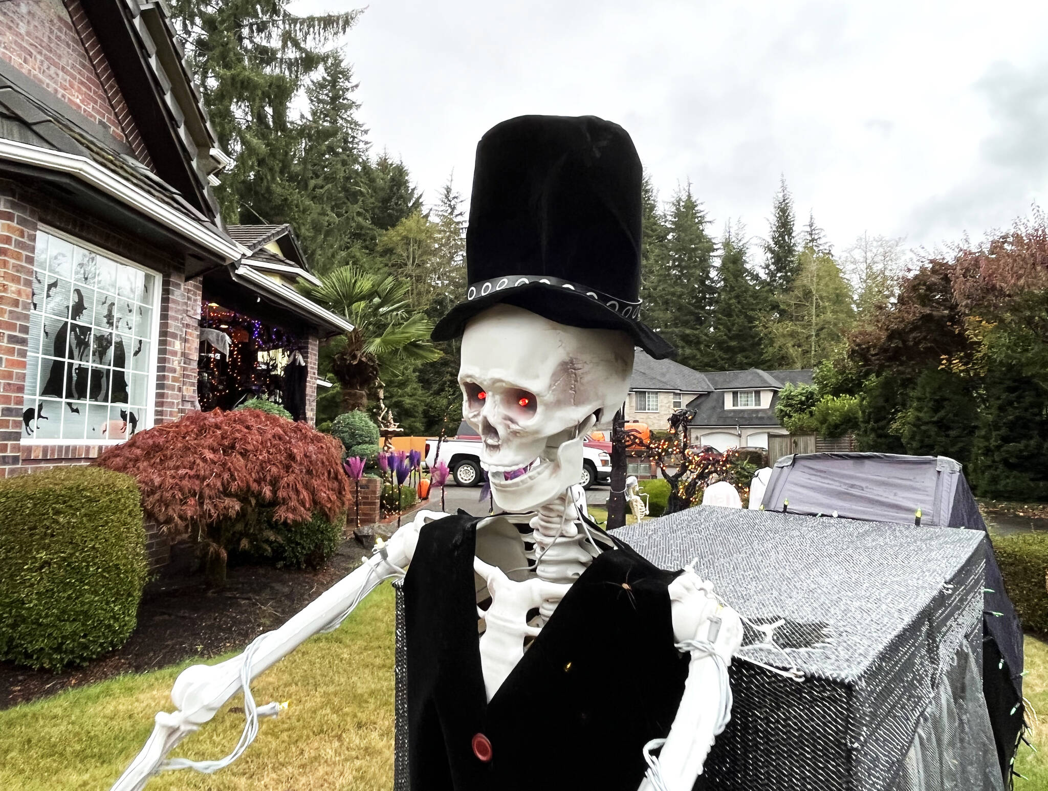 Matthew N. Wells / The Daily World
A skeleton hearse driver navigates through the front yard of Dennis and Michelle Bemis’ home in the 1000 block of Fairway Drive, while the skeleton driver’s “deceased” passenger drags behind and screams in silent terror.