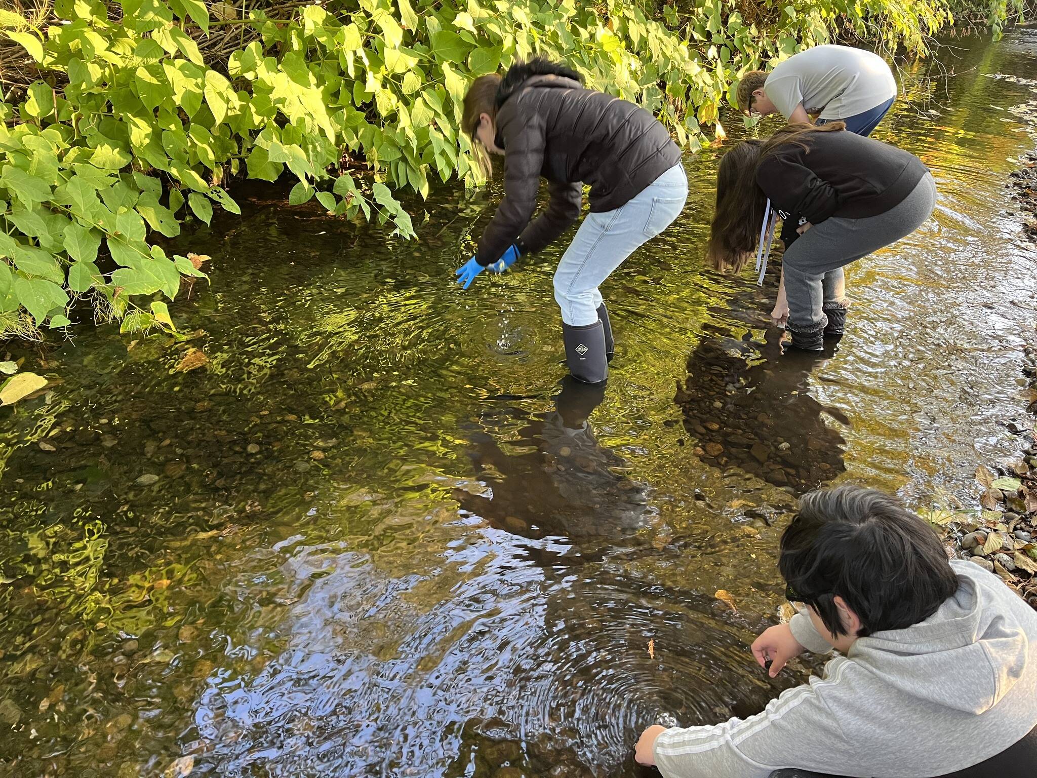 McCleary middle school students test Wildcat Creek water The Daily World