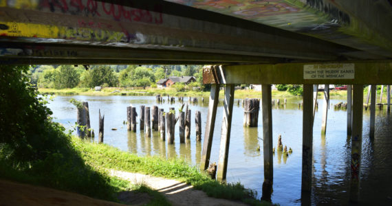 Matthew N. Wells / The Daily World 
The underbelly of Young Street Bridge, which shows graffiti artwork that commemorates the local history of Grays Harbor’s biggest music star, Kurt Cobain, may come down in the next few years along with the bridge itself. The bridge is due to be replaced starting in 2026. The new bridge has an anticipated opening date of October 2027.