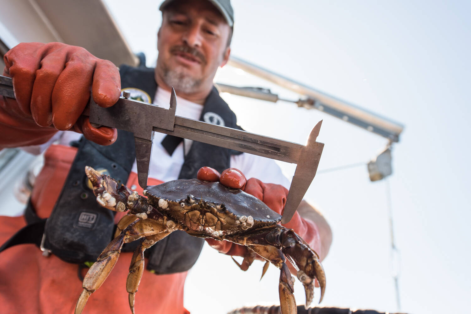 Austin Trigg / NMFS
Dungeness crab is a valuable fishery resource that is culturally and economically important to West Coast communities.