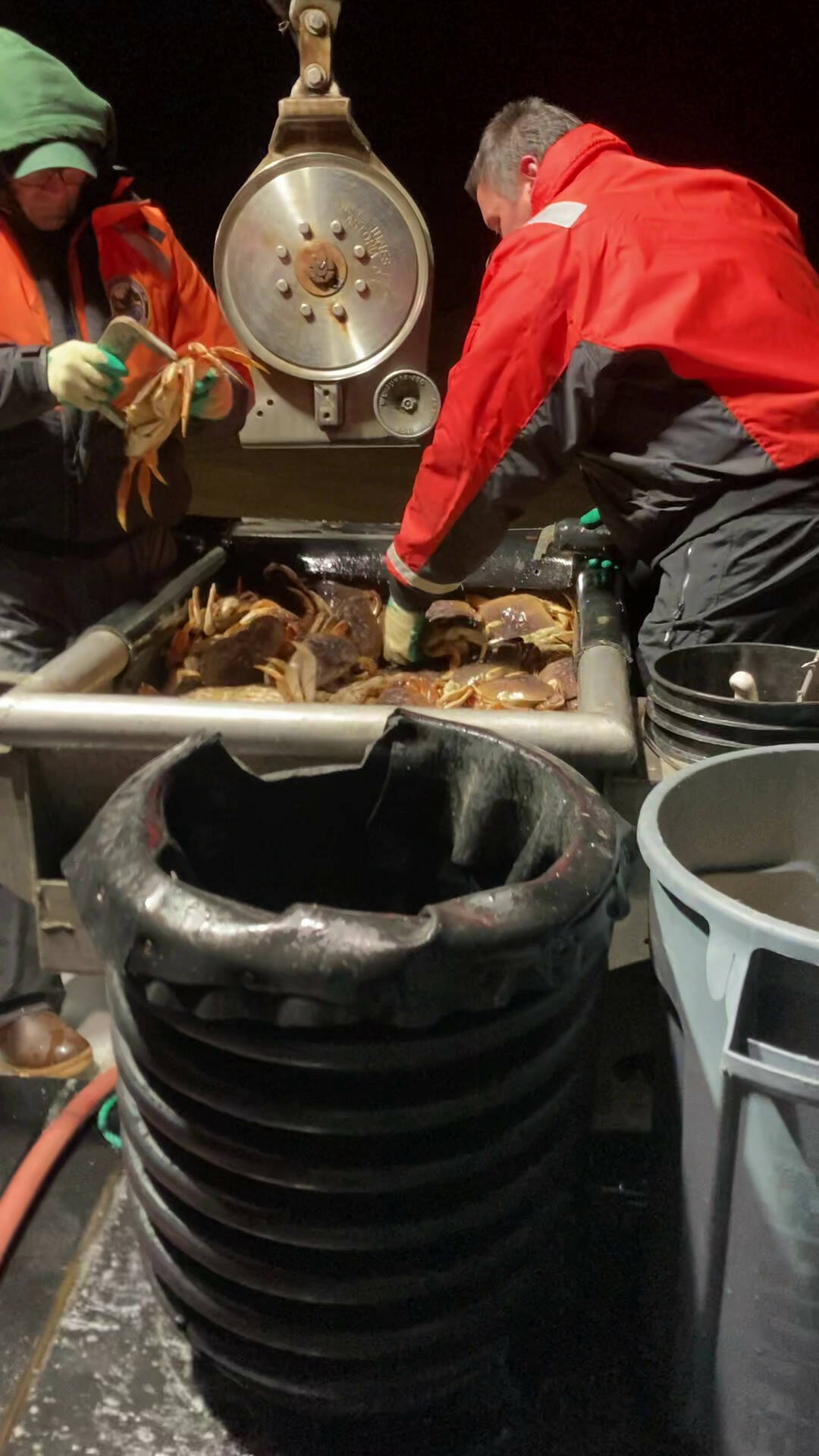 Clayton Parson, lead shellfish technician and John Deibert, shellfish technician with the Washington Department of Fish and Wildlife, examine a Dungeness crab.