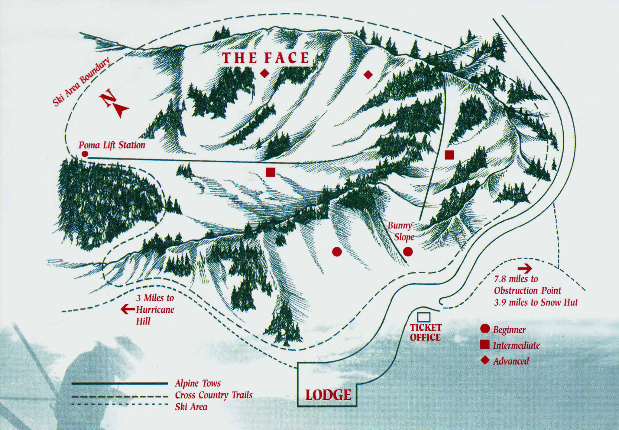 Hurricane Ridge ski slope