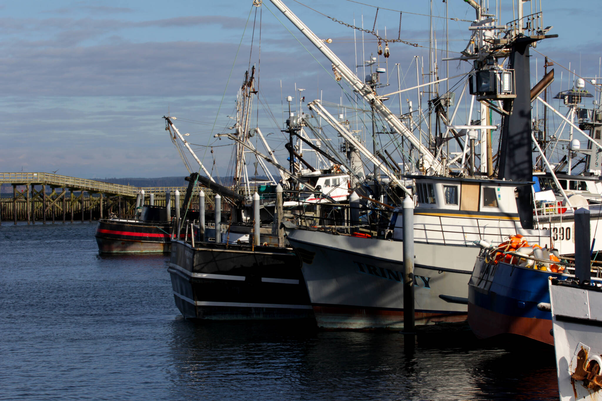 Boats line the harbors of Western Washington, many of their crews preparing for the upcoming Dungeness crab season. (Michael S. Lockett / The Daily World)