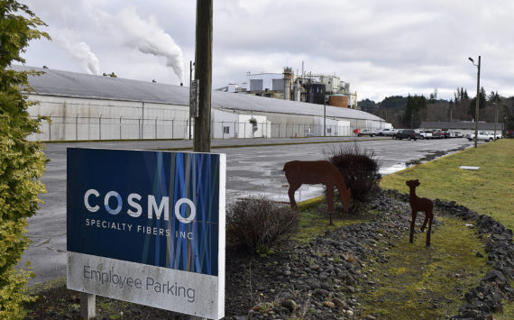 Despite shutting down on Dec. 21, 2022, clarity appears to be approaching regarding a reopening of Cosmo Specialty Fibers Inc., in Cosmopolis. The pulp mills new ownership group, Charlestown Investments, says they are anticipating an end of March timeframe for reopening work for the more than 170 employees that were laid off after completion of financial audits and much needed repairs to the facility. (Daily World File Photo)