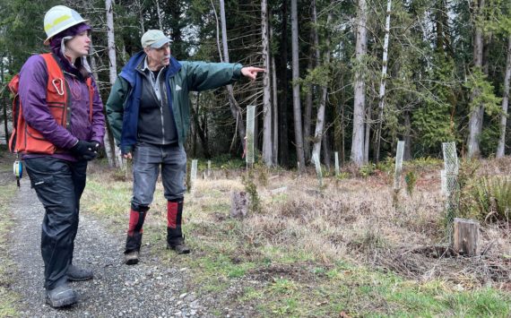 (Clayton Franke / The Daily World) Emily Fales, left, a service forester with the Washington Department of Natural Resources, takes a tour of Merc Boyer's family forest. The DNR has added 18 new service foresters, who provide technical assistance to landowners, in the last six months.