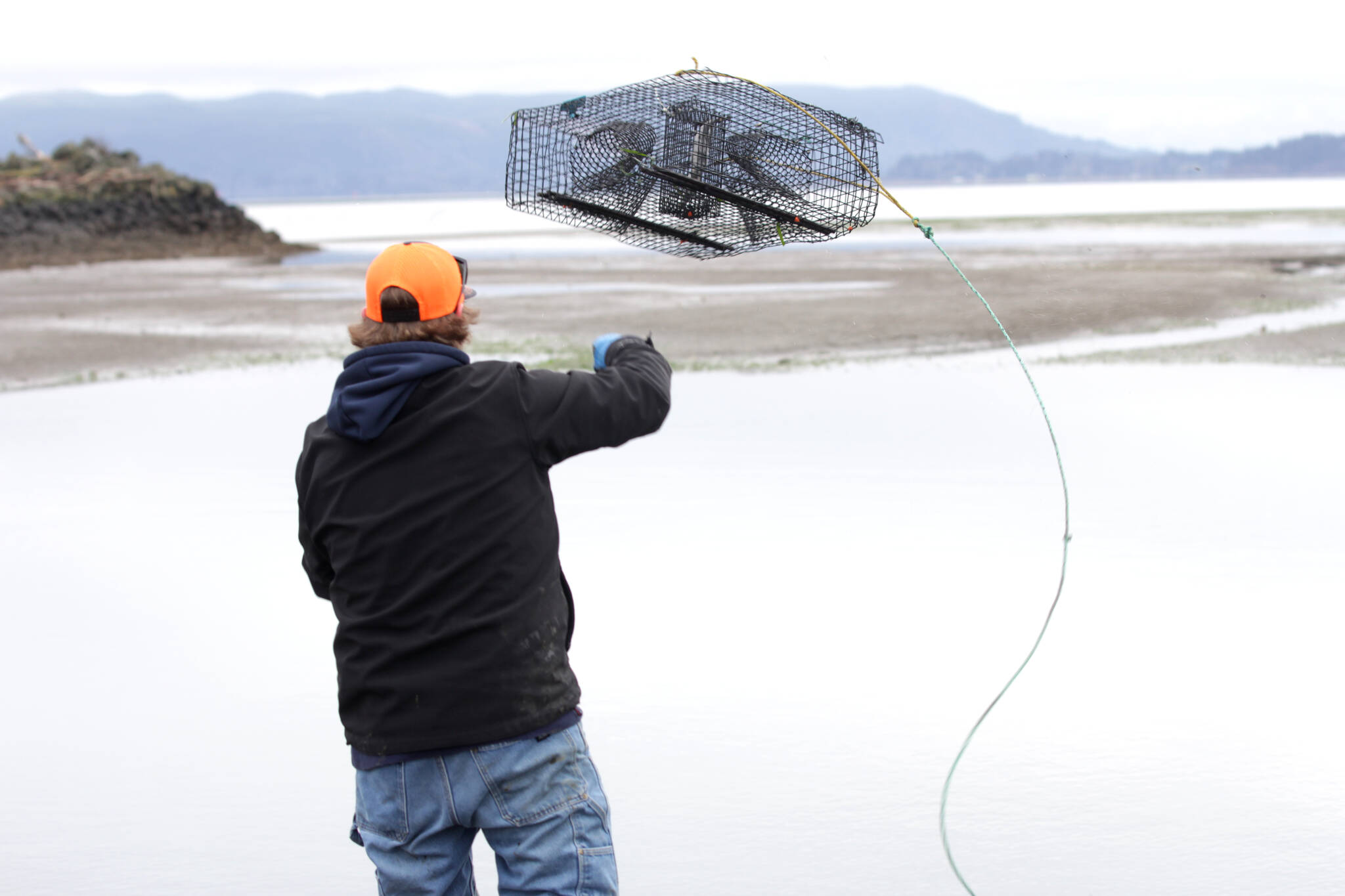 Richard Ashley, part of the Shoalwater Bay Indian Tribe’s Department of Natural Resources, resets a crab trap as members of the department remove of European green crabs on Jan. 26. (MIchael S. Lockett / The Daily World)
