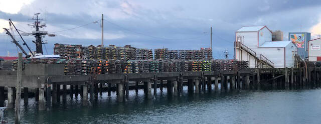 Michael Wagar / The Daily World 
The Westport docks, and all the grounds around the Westport marina, are filled with crab pots waiting to be loaded on Saturday for “Dump Day.”