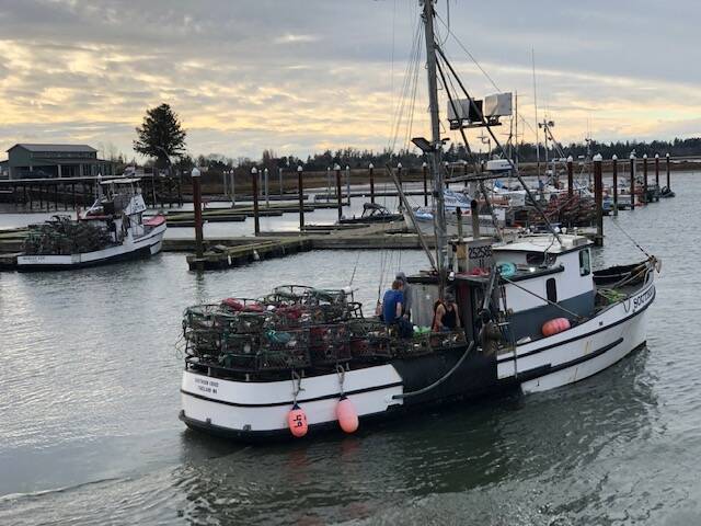 Michael Wagar / The Daily World 
After loading 100 crab pots, the Southern Cross is on its way to the Dungeness fields of Willapa Bay on Saturday.