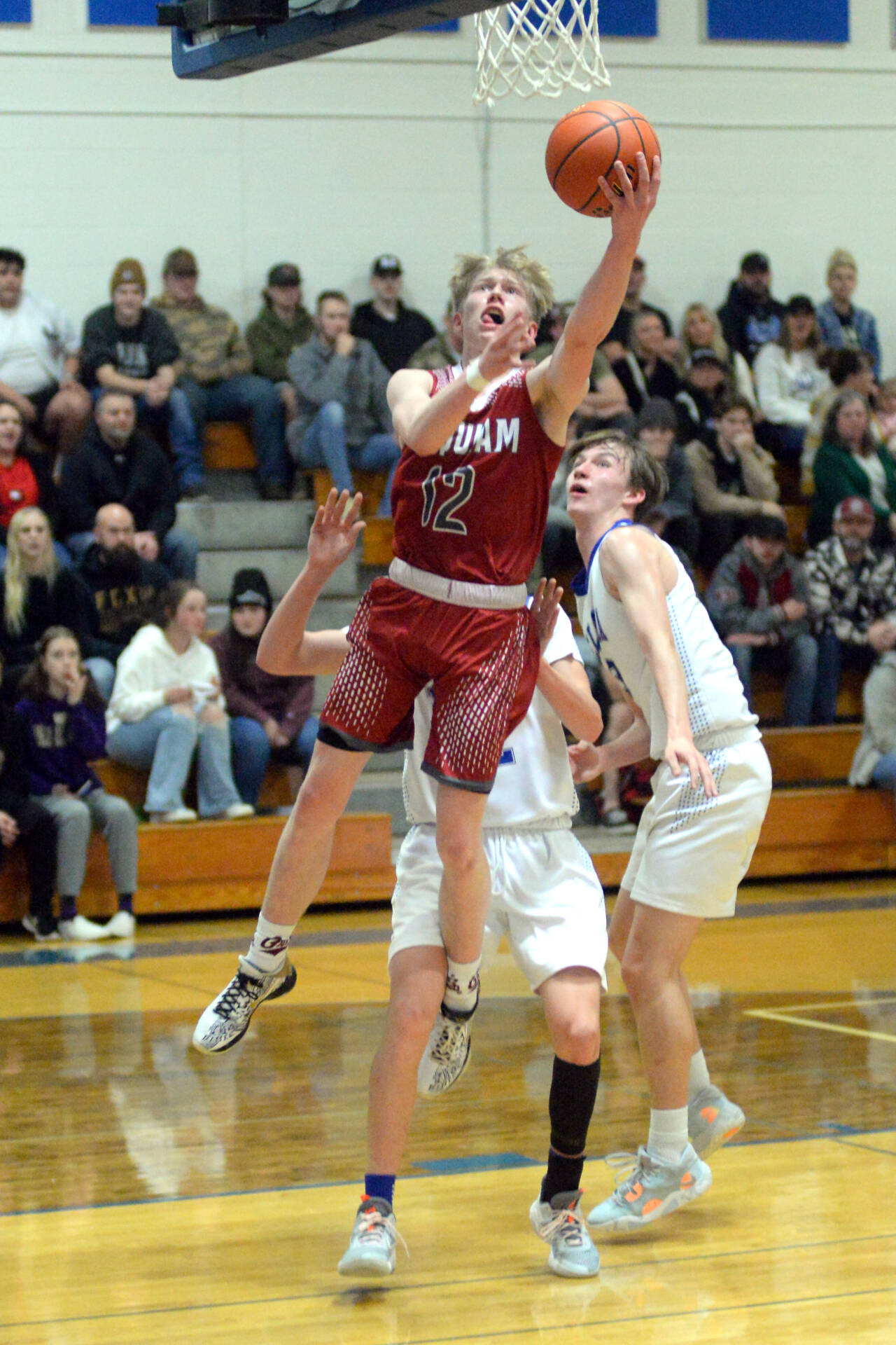 Daily World File Photo
Hoquiam’s Michael Lorton Watkins (12) seen here in a game against Elma on Jan. 4, was named the 1A Evergreen League MVP after scoring 21.8 points a game this season.