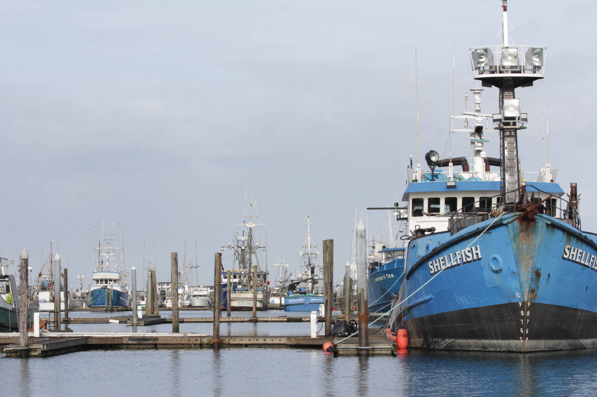 A fishing vessel sits alongside an empty slip at Westport Marina on March 1. The marina is working its way through planning a modernization process to accommodate modern vessels, which are larger than the docks built in the ’80s were designed for. (Michael S. Lockett / The Daily World)