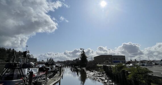 Michael S. Lockett / The Daily World
The sun shines on the Hoquiam River Wednesday afternoon.