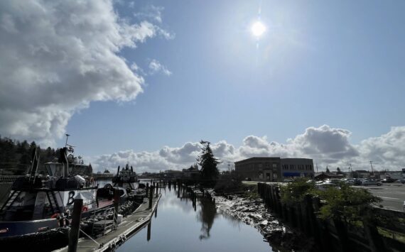 Michael S. Lockett / The Daily World
The sun shines on the Hoquiam River Wednesday afternoon.