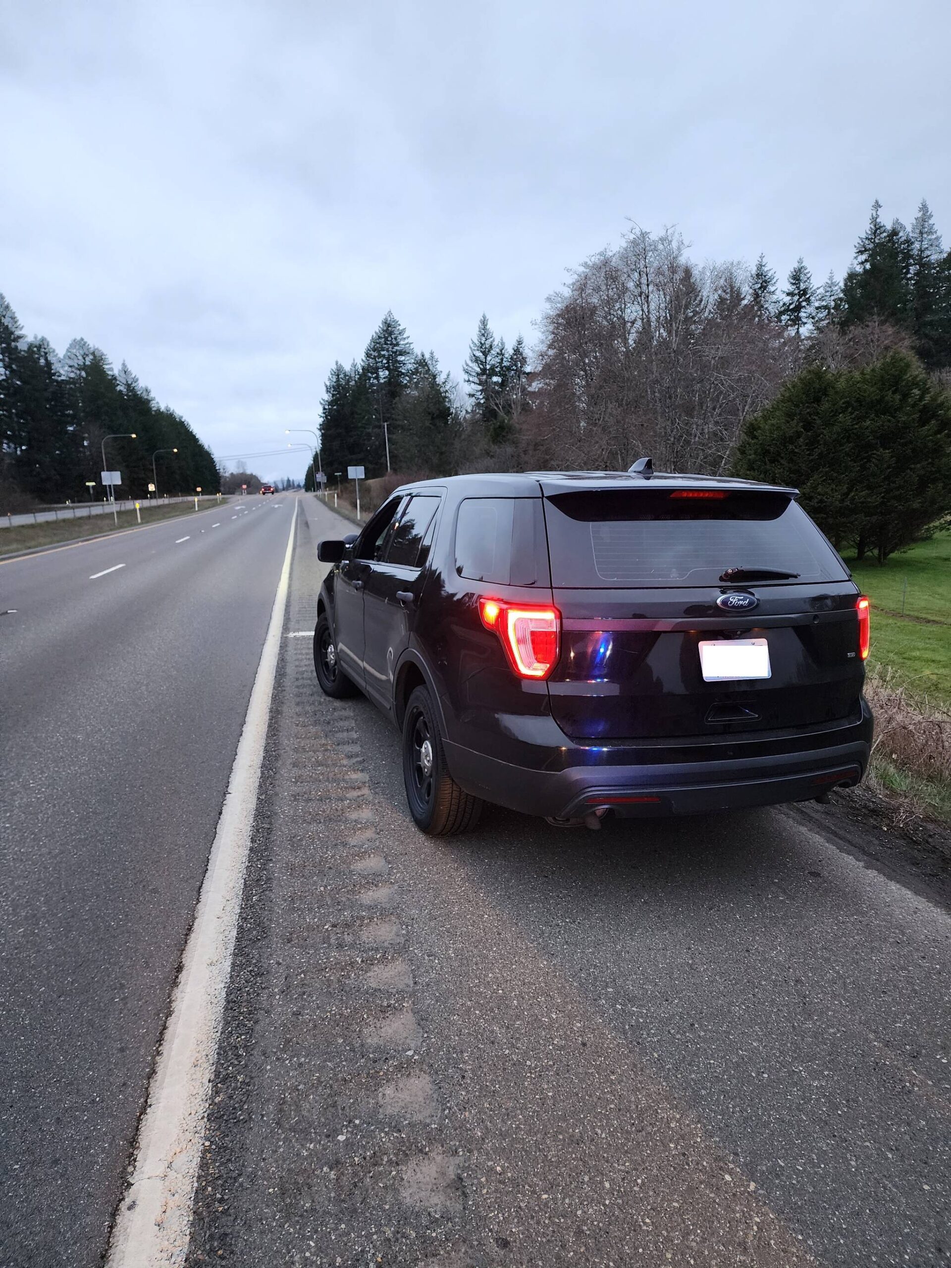 A trooper from the Washington State Patrol arrested a man Saturday morning near Elma for impersonating a law enforcement officer in a vehicle made to look like a patrol car. (Courtesy photo / Washington State Patrol)