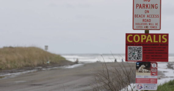 Signs line the entrances to the beach at Ocean Shores, but tourists may not always be the best at reading them, worry those departments responsible for the safety of citizens as the summer approaches. (Michael S. Lockett / The Daily World)