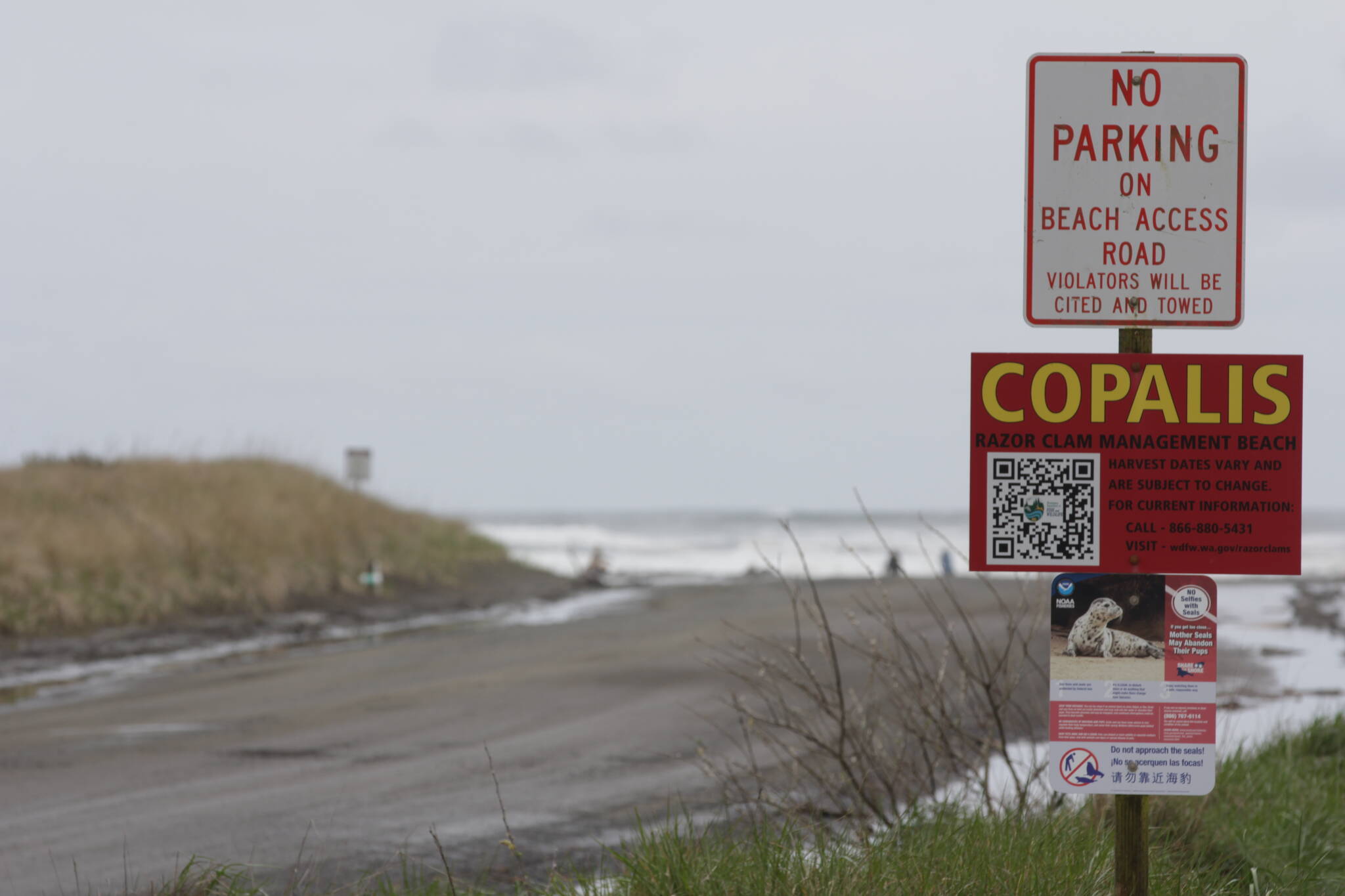 Signs line the entrances to the beach at Ocean Shores, but tourists may not always be the best at reading them, worry those departments responsible for the safety of citizens as the summer approaches. (Michael S. Lockett / The Daily World)
