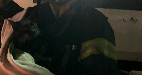 Courtesy photo / Aberdeen Fire Department
Aberdeen firefighter Alex Bartlett carries a cat rescued from the apartment building fire during a call on May 16.