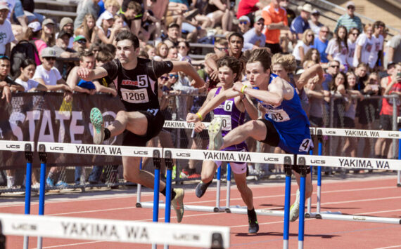JARED WENZELBURGER | THE CHRONICLE
Raymond’s Morgan Anderson takes second in the 2B boys 110 meter hurdles in Yakima on Saturday, May 27.