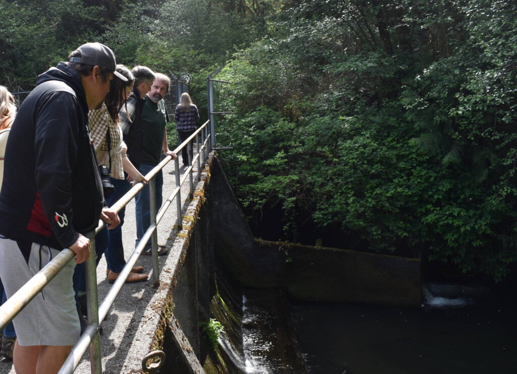 Hoquiam River salmon, city water supply to benefit from dam removal