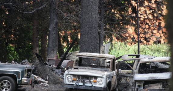 Michael S. Lockett / The Daily World
Charred trees and cars give mute testimony to a fire that threatened to grow out of control near Elma on Saturday.