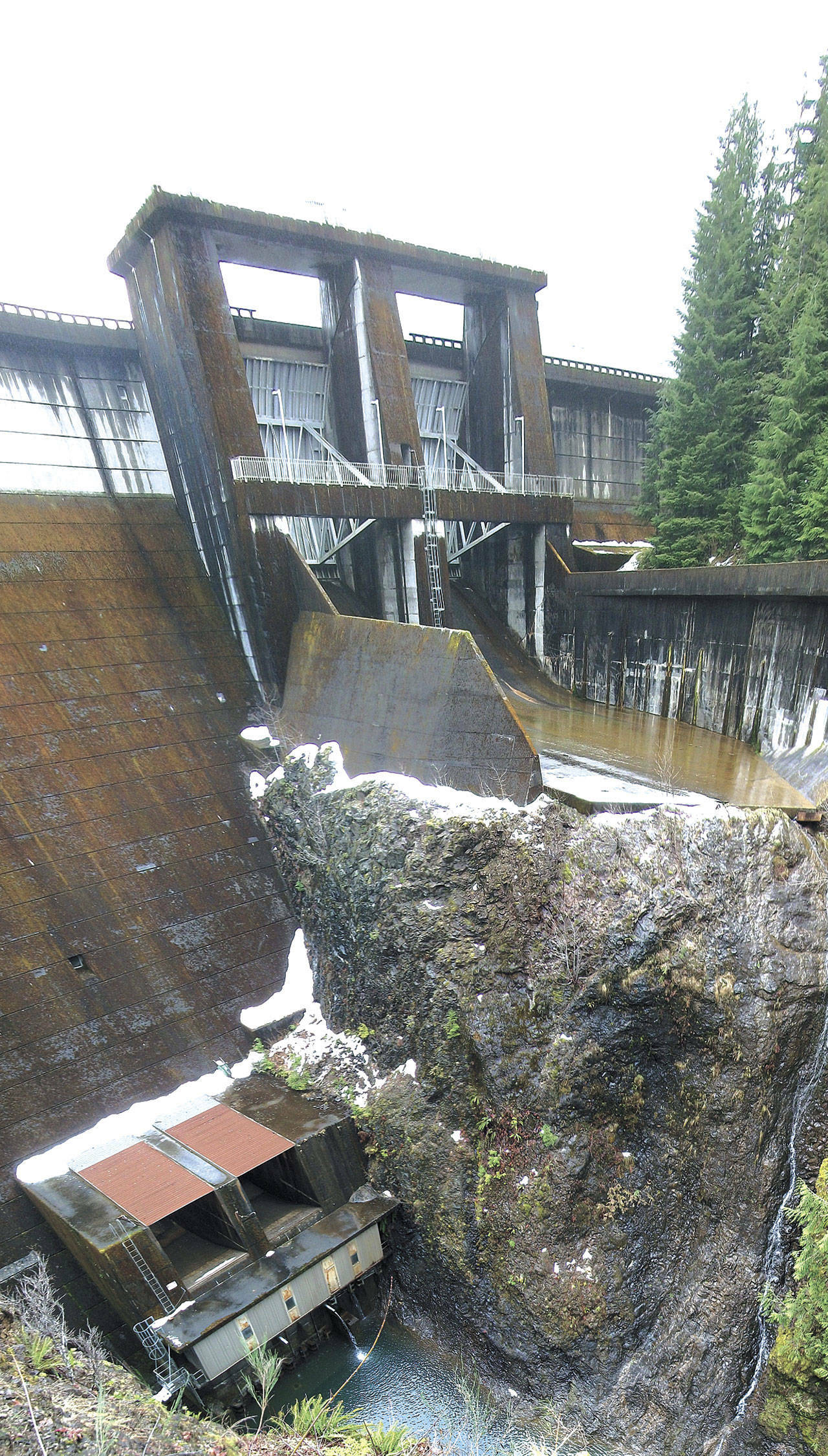 Grays Harbor Fire District 2, assisted by Thurston County's Special Operations Rescue Team, rescued a woman early Thursday morning after she fell 200 feet into a ravine near the Wynoochee Dam, pictured. (The Daily World file photo)