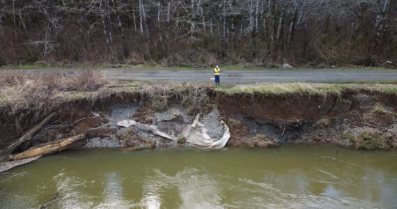 Clayton Franke / The Daily World
The 2022 flooding season eroded more than 15 feet of riverbank in the Satsop Business Park, exposing power ducts and threatening infrastructure underneath the road.