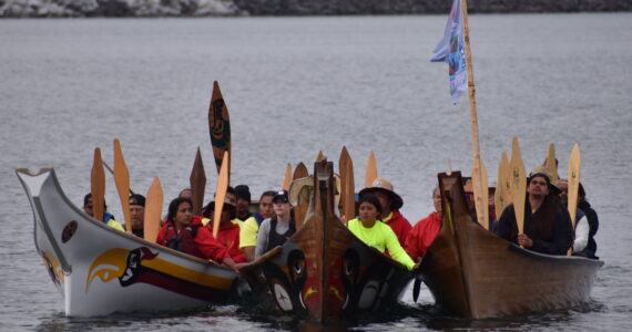 Three Quileute canoes approach the shores of Neah Bay on Friday, July 21 as part of the 2023 “Paddle to Muckleshoot” intertribal canoe journey. The canoes left La Push at 5 a.m. Friday morning and arrived at the shores of Neah Bay more than 12 hours later. (Clayton Franke / The Daily World)