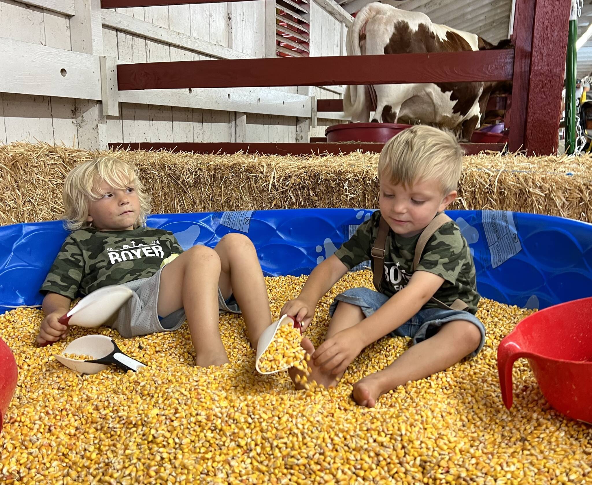 Clayton Franke / The Daily World
Brothers Ricky and Levi Boyer play in a kitty pool of corn kernels at the Grays Harbor County Fair on Aug. 2.