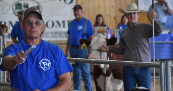 Rick Boyer, left, takes bids for Cole Sigler’s market steer at the Grays Harbor Youth Livestock Auction on Saturday, Aug. 5. at the Grays Harbor County Fairgrounds. Sigler’s steer sold for $6 per pound, the highest of any cow at the auction. (Clayton Franke / The Daily World)