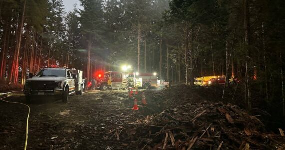 Multiple departments responded to a burgeoning wildfire on Monday night near the intersection of 101 and Ocean Beach Road. (Courtesy photo / Hoquiam Fire Department)
