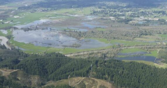 Washington Department of Fish and Wildlife
The Chehalis Wildlife Area comprises about 1,200 total acres in East Grays Harbor County.