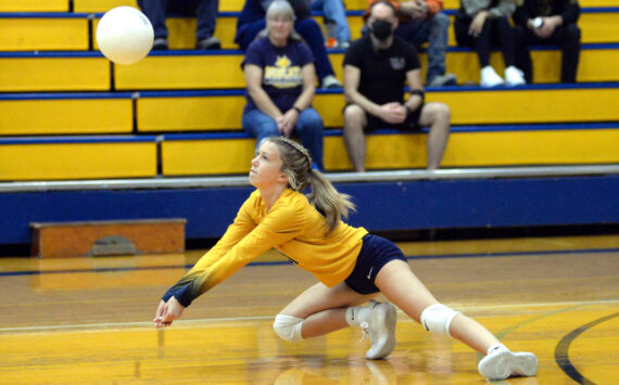 RYAN SPARKS | THE DAILY WORLD Aberdeen Libero Sophie Knutson dives to make a serve reception during the Bobcats’ straight-set victory over Rochester on Thursday in Aberdeen.