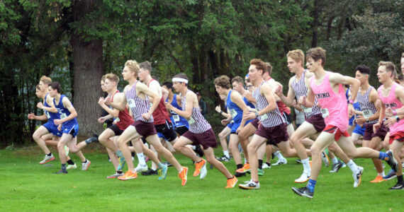 RYAN SPARKS | THE DAILY WORLD Runners take off at the start of the 1A Evergreen League Championship boys cross-country race on Thursday at the Oaksridge Golf Course in Elma.