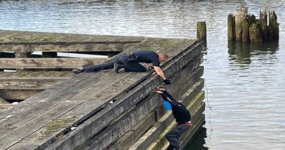 Courtesy photo / APD
A 29-year-old Aberdeen man is pulled out of the river by an Aberdeen police officer after attempting to avoid law enforcement by jumping in the Wishkah River on Sunday, Oct. 22.