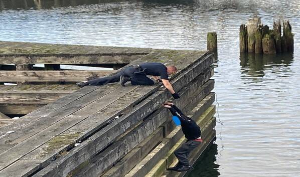 A 29-year-old Aberdeen man is pulled out of the river by an Aberdeen police officer after attempting to avoid law enforcement by jumping in the Wishkah River on Sunday, Oct. 22. (Courtesy photo / APD)