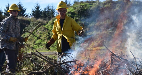 Clayton Franke / The Daily World
From left: Griffin Steele and Mathew Winter, Washington Conservation Corps crew members, work near a Scotch broom burn pile on Wednesday, Oct. 18. at the city of Ocean Shores public works yard.