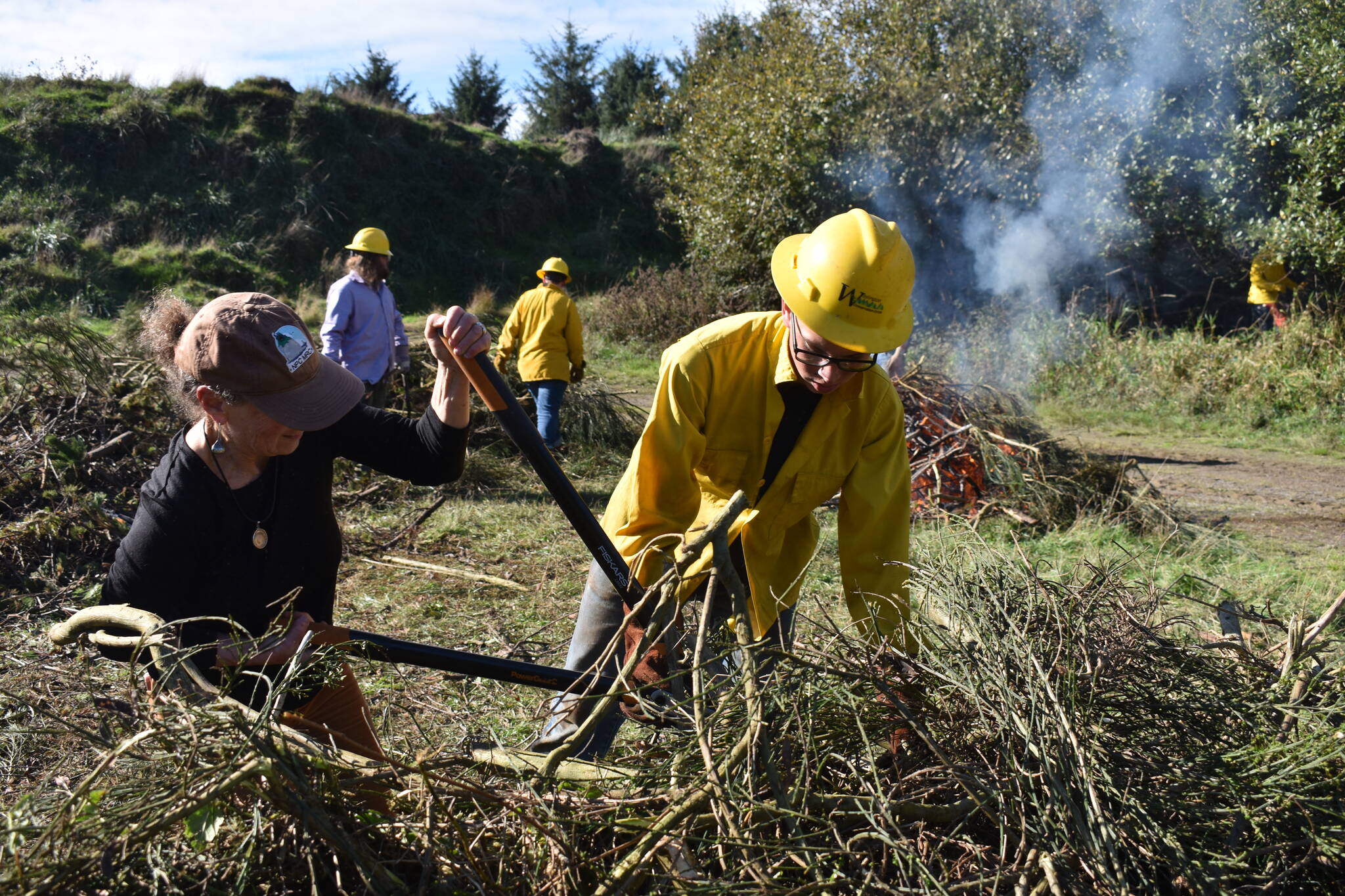 Clayton Franke / The Daily World
Jill Silver, executive director of the environmental nonprofit 10,000 Years Institute, cuts Scotch broom for burning on Wednesday, Oct. 18.