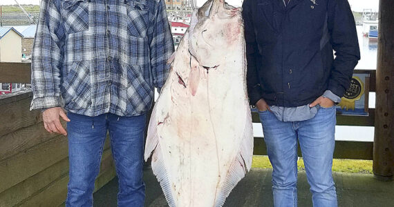 The Daily World file photo
Ty and Pat Haskew pose with a 66.65-pound halibut slab during the Westport Charter Boat Association halibut derby in 2021.
