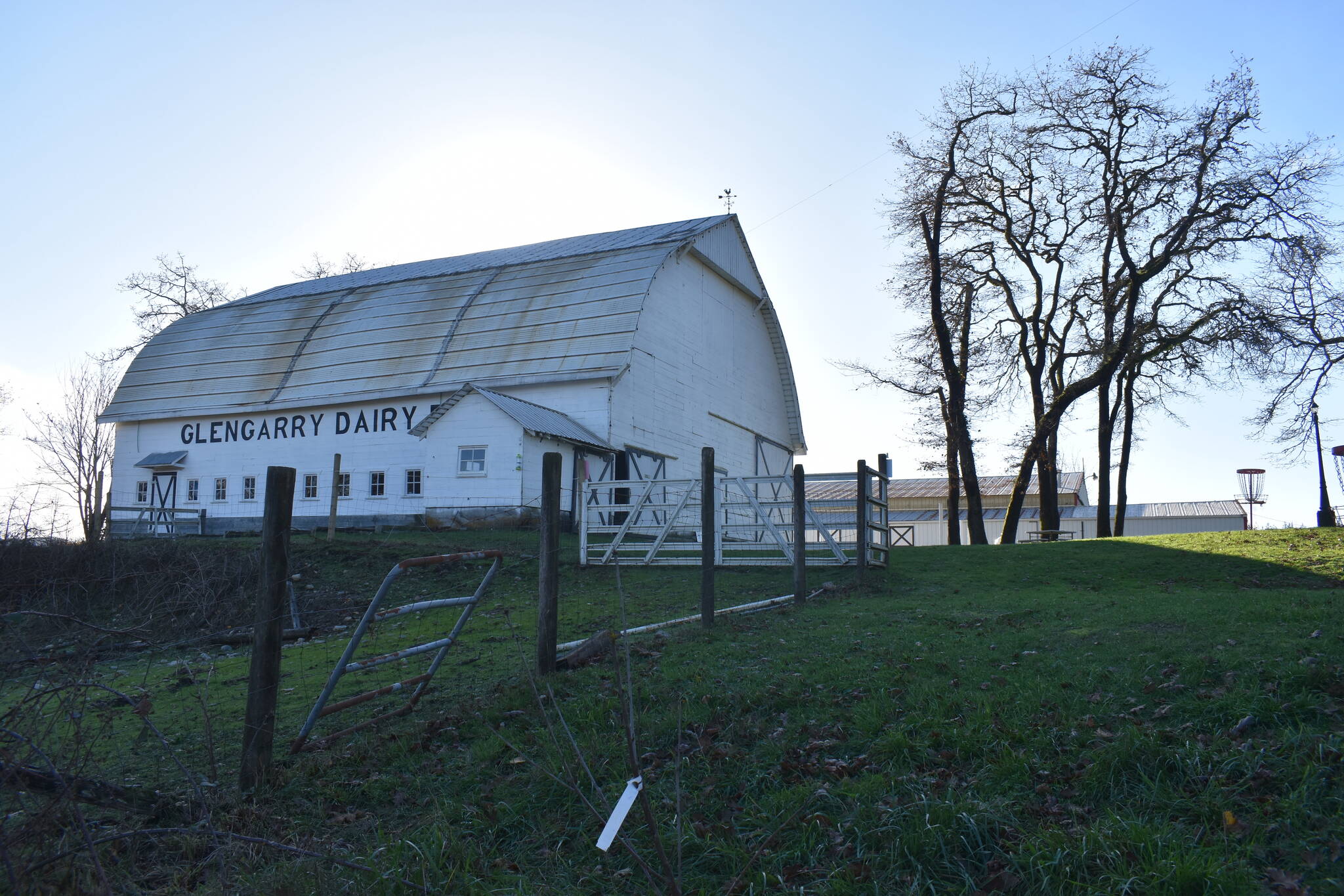 Matthew N. Wells / The Daily World
Glengarry Dairy Farm is the tallest building on the property of Snowbird Farm and Cidery. The 106-year-old barn, which is on the Washington State Historic Barn Registry, has since been restored.