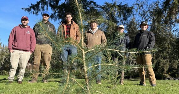 Grays Harbor Conservation District’s work crew poses behind a tree they recently planted, one of thousands, as part of a riverbank repair effort. (Michael S. Lockett / The Daily World)