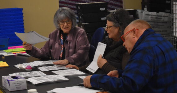 Grays Harbor County Elections Administrator Scott Turnbull, right, and elections employees sort ballots for a recount on Wednesday, Dec. 6. (Clayton Franke / The Daily World)