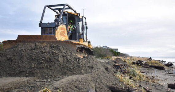 Clayton Franke / The Daily World
Bob Williamson of Brumfield Construction operates a bulldozer Thursday morning on the southern shoreline of Ocean Shores, where the company is building a large sand berm intended to stop waves from eroding public infrastructure this winter.