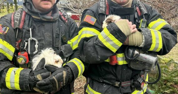 Firefighters responding to an Aberdeen structure fire Saturday managed to rescue all human residents- and two guinea pigs- without incident, according to an AFD social media post. (Courtesy photo / AFD)