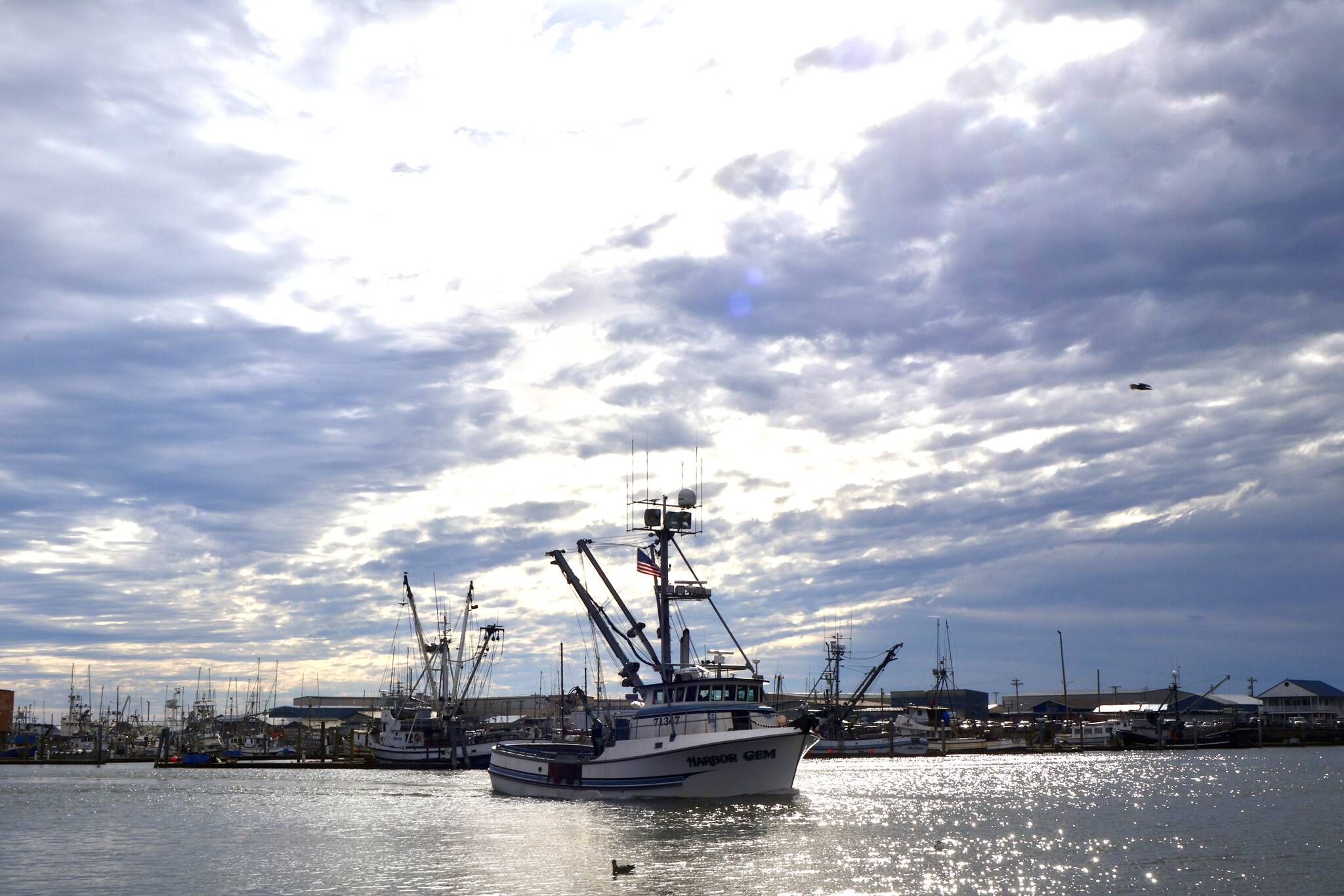 A fishing boat pulls into the harbor at Westport on dump day. (Michael S. Lockett / The Daily World)
