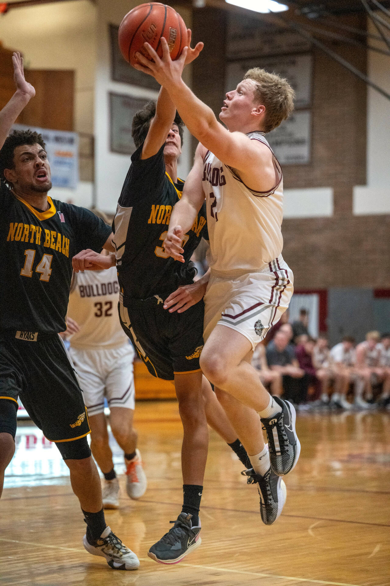 PHOTO BY FOREST WORGUM Montesano’s Tyce Peterson, right, puts up a shot against North Beach’s Jeremiah Eastman (30) and Tyrell Hovland (14) during the Bulldogs’ 63-25 win on Tuesday in Montesano.