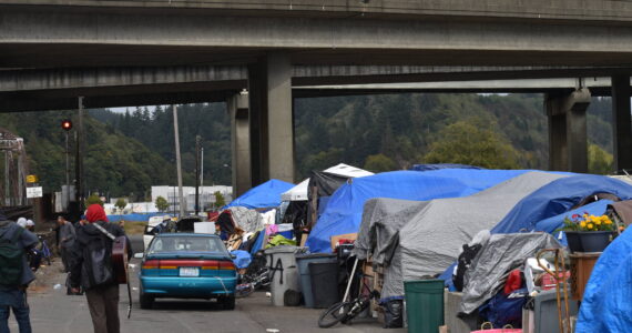 The Daily World file photo
Pictured during the fall of 2023, Grays Harbor’s largest homeless encampment is located near the Chehalis River bridge in Aberdeen.