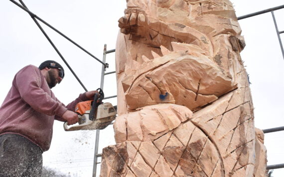 Lane Worden makes a cut into the near 20-foot wooden bear sculpture featured in the 2024 Burning Bear the weekend of Feb. 16 in Ocean City. (Clayton Franke / The Daily World)
